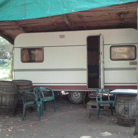 Air Naturel De Camping Moulin De Malesse Saint-Privat  外观 照片